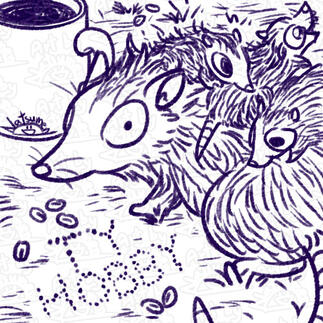 possums possums